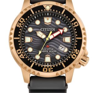 CITIZEN PROMASTER DIVE GRAY DIAL WATCH BN0163-00H